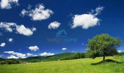 plac   Stara Pazova  -    