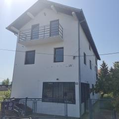 kuće   Beograd  Borča