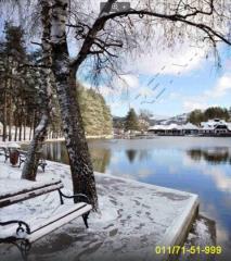 stanovi   Zlatibor  -    Rujanska