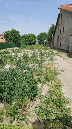 plac   Indjija  Indjija okolina    