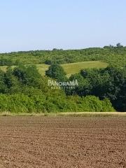 njiva   Beograd  Barajevo okolina    