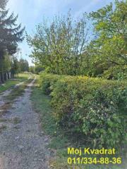 plac   Pećinci  Ugrinovci    Vojvode Mišića