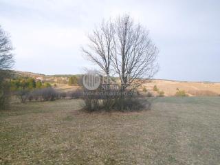 plac   ZLATIBORSKI OKRUG  Tometino Polje    