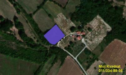 plac   Topola  -    Despotovica