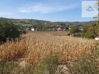 plac   Vrdnik  -    