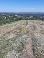 plac   Beočin  -    