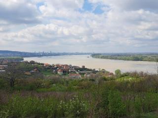 plac   Beograd  Višnjička banja    Orašje