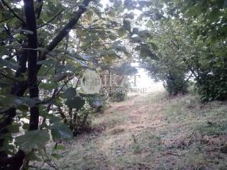 plac   ZLATIBORSKI OKRUG  Pora    Volujac