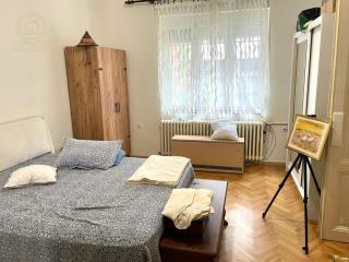 stanovi   Beograd  Vračar lokacija    