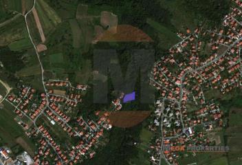šuma   Beograd  Rušanj    