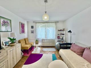 stanovi   Beograd  Denkova bašta    Vojislava Ilića