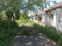 kuće   Ruma  Ruma okolin    Buđanovci