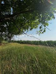 plac   Inđija  -    