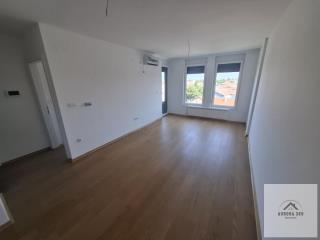 stanovi   Novi Sad  -    