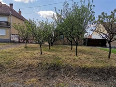 plac   Indjija  Indjija    