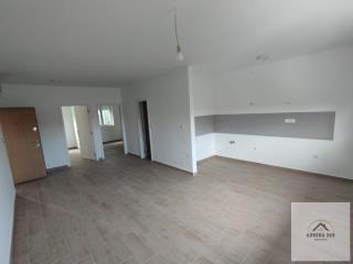 stanovi   Novi Sad  -    