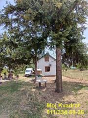 kuće   Stara Pazova  -    Braće Trninić