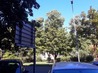 stanovi   Beograd  Zemun centar    Avijatičarski trg