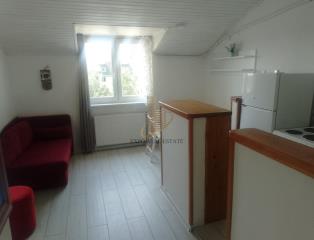 stanovi   Novi Sad  -    