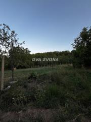 plac   Inđija    plac   Inđija  -