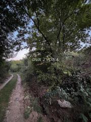 plac   Inđija    plac   Inđija  -