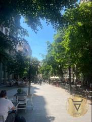 stanovi   Beograd  Stari Grad lokacija    Topličin venac