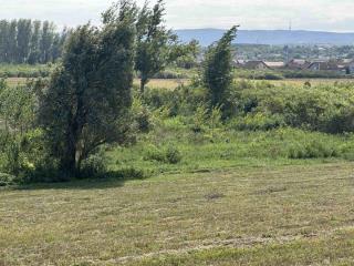 plac   Novi Sad  -    