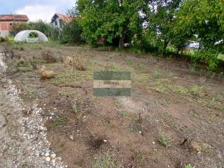 plac   Jagodina  -    
