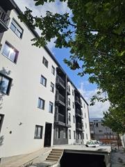 stanovi   Indjija    stanovi   Indjija  Indjija