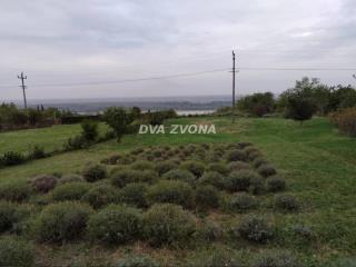 vikendica   Inđija    vikendica   Inđija  -