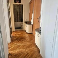 stanovi   Novi Sad  -    