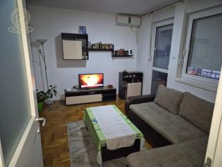 stanovi   Novi Sad  -    