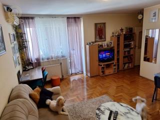 stanovi   Novi Sad  -    