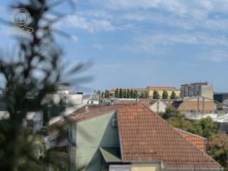 stanovi   Novi Sad  -    