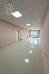 poslovni prostor   Novi Sad  -    