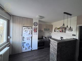 stanovi   Novi Sad  -    