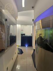 poslovni prostor   Novi Sad  -    