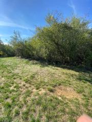 plac   Beograd    plac   Beograd  Rušanj