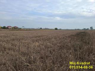 Ane Bešlić    plac   Beograd    plac   Beograd  -    Ane Bešlić