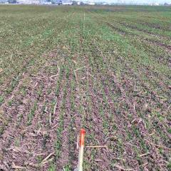 Autoput Beograd - Zagreb    plac   Beograd    plac   Beograd  Surčin naselje    Autoput Beograd - Zagreb