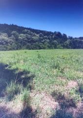 Stanina    plac   Beograd    plac   Beograd  -    Stanina