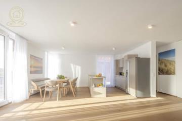 stanovi   Novi Sad  -    