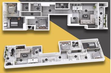 stanovi   Novi Sad  -    