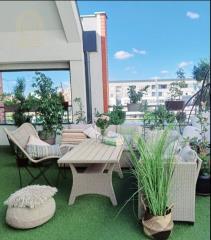 stanovi   Novi Sad  -    