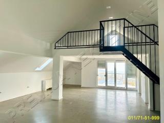 poslovni prostor   Beograd  Mali mokri lug    Smederevski put