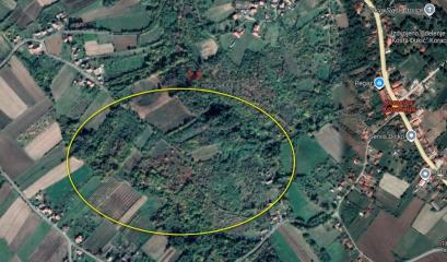 plac   Beograd  Mladenovac okolina    Mijevačka