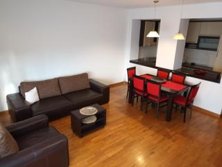 stanovi   Beograd  Lion    Bregalnička