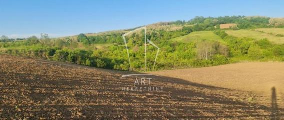 plac   Beograd  Sopot okolina    Dese Marković