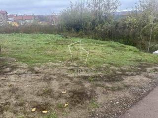 plac   Beograd  Mali mokri lug    