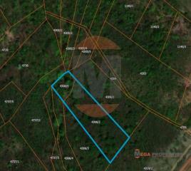 njiva   Beograd  Grocka okolina    